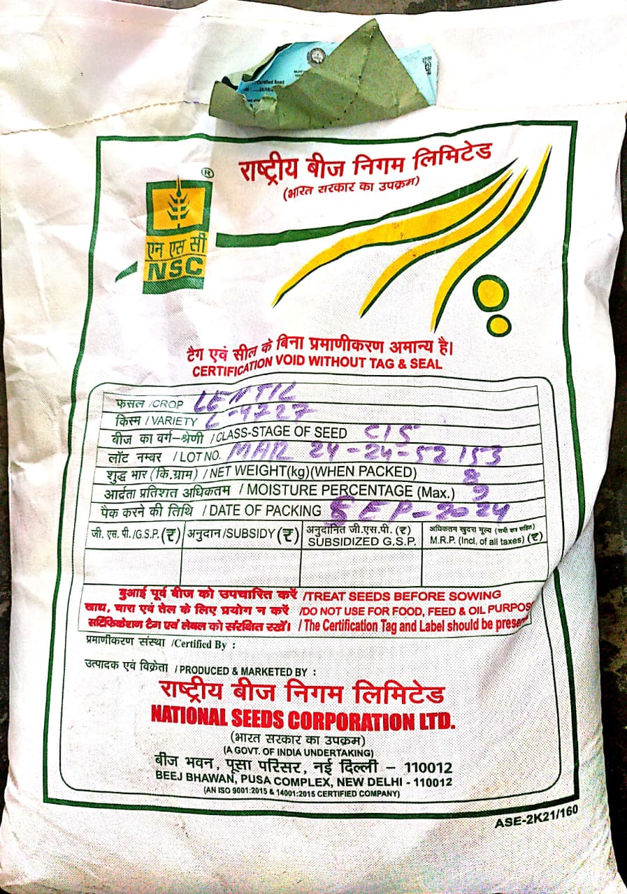 National Seeds Corporation Lentil Seeds L-4727 C/S (8 kg)
