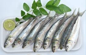 Sardine/Mathi Meen /Boothai/Chaala{12-22pcs/kg Whole cleaned}