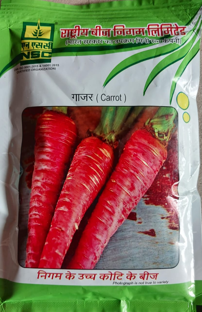 NSC CARROT/PUSA RUDHIRA/100g/TL