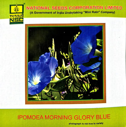 NSC Ipomoea Morning Glory Blue Flower seed
