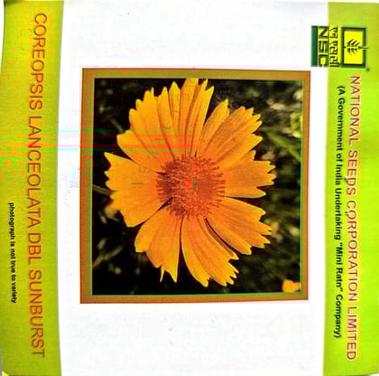 Coreopsis lanceolata DBL Sunburst