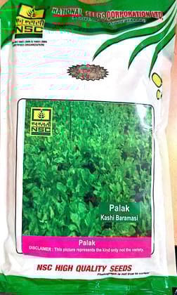 NSC Palak/ Kashi Baramasi T/L Seeds - High Quality 250 gms