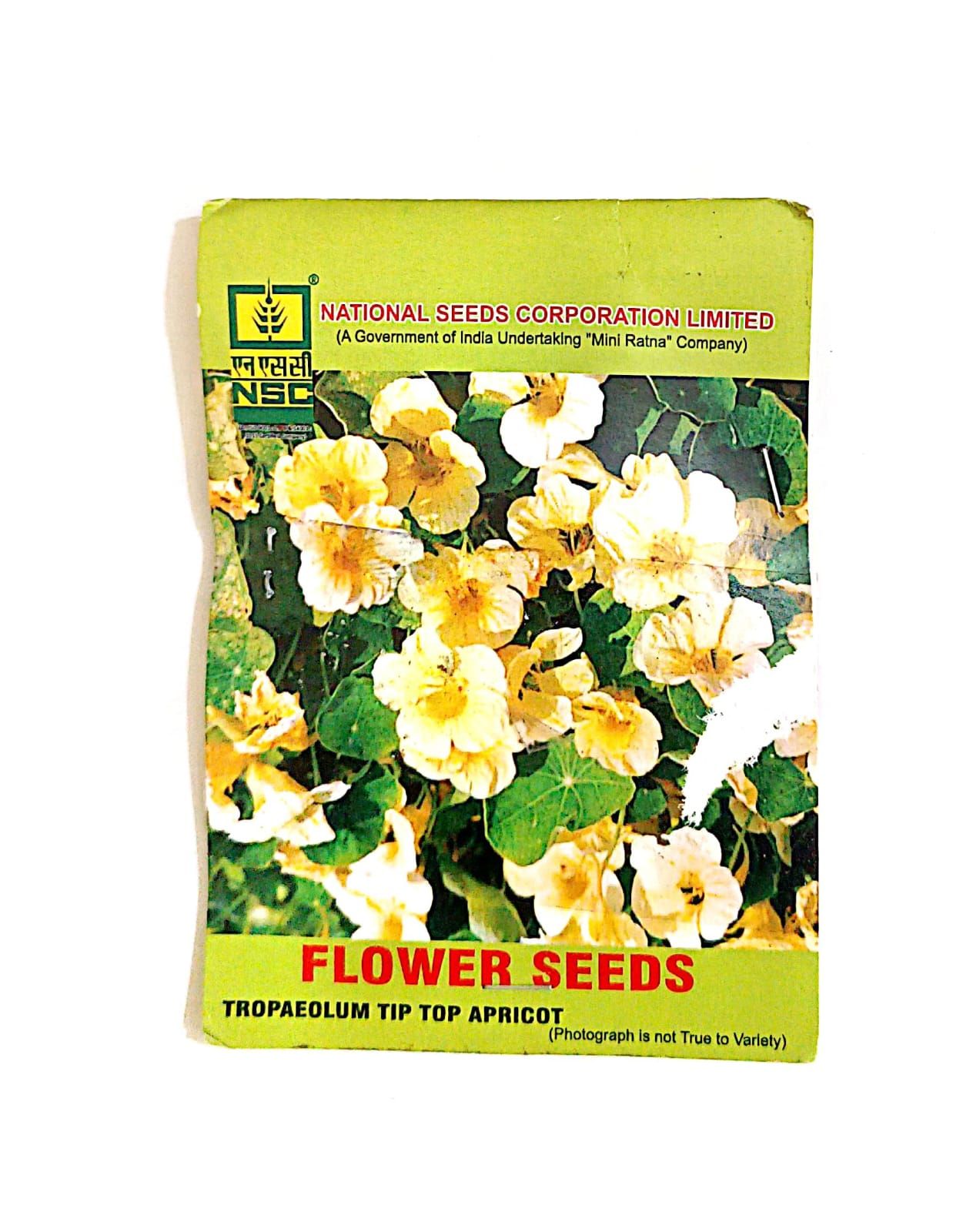 NSC Tropaeolum Tip Top Apricot T/L Flower Seeds - Vibrant Garden Blooms 10 gm