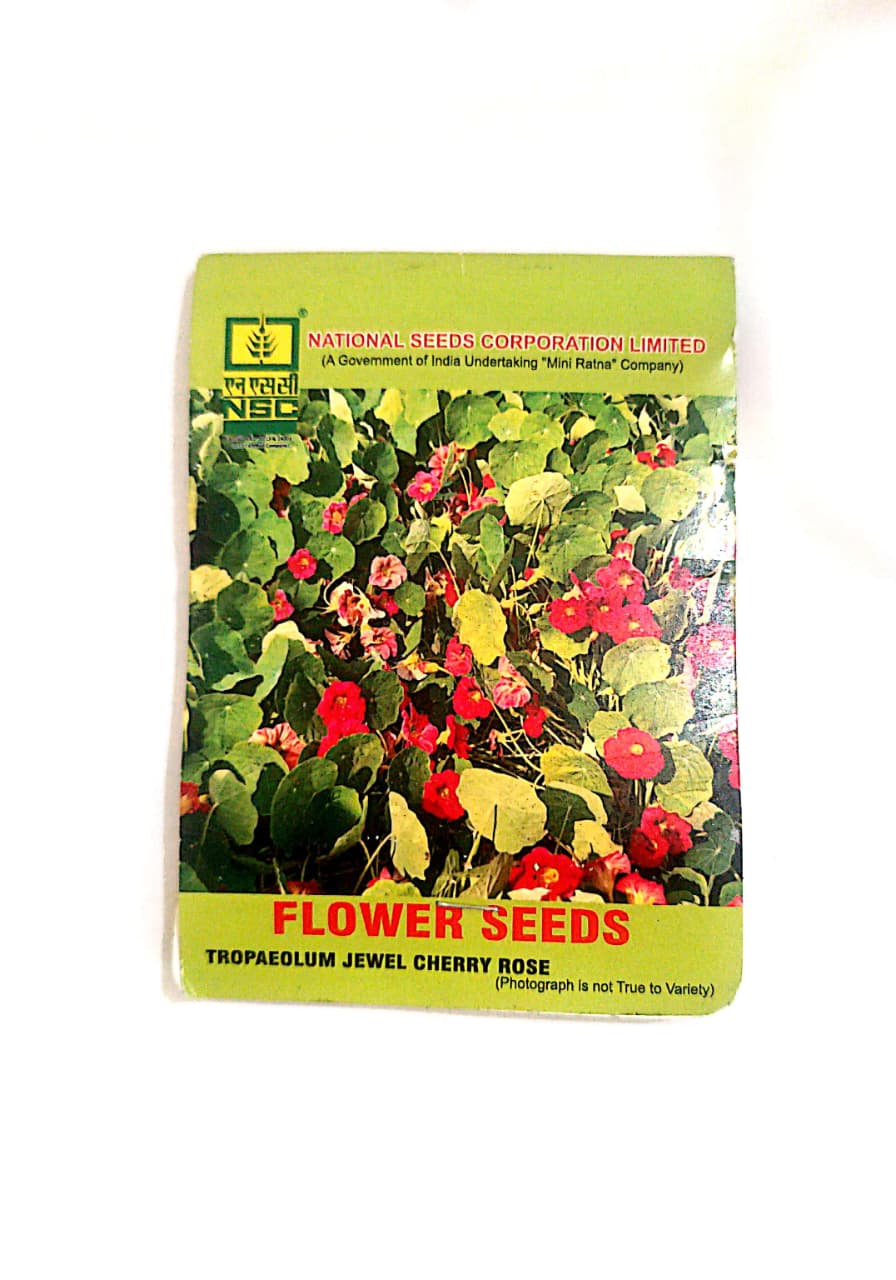 NSC Tropaeolum Jewel Cherry Rose T/L Flower Seeds 10 Gm