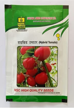 NSC Tomato Arka Samrat variety hybrid F1, 10 gram T/L seed