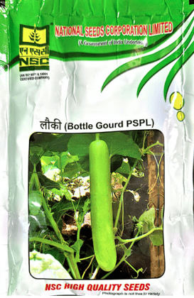 NSC BOTTLE GUARD SEEDS - PSPL VARIETY 100GMS
