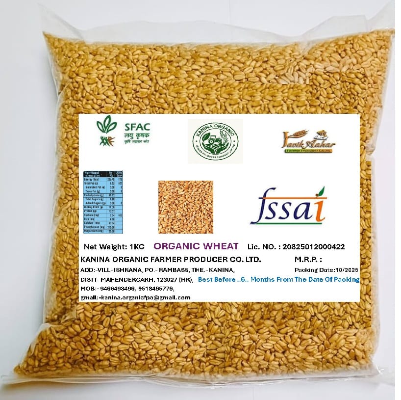 Organic Wheat Seed