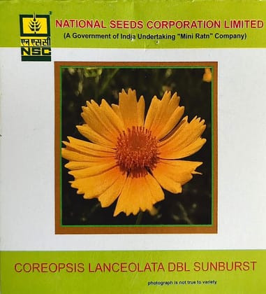 NSC Coreopsis Lanceolata Dbl Sunburst Flower Seed