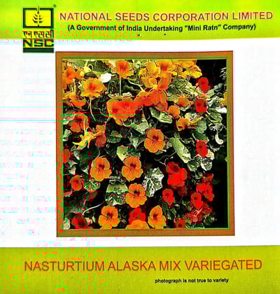 Nasturtium Alaska mix Variegated-3gms