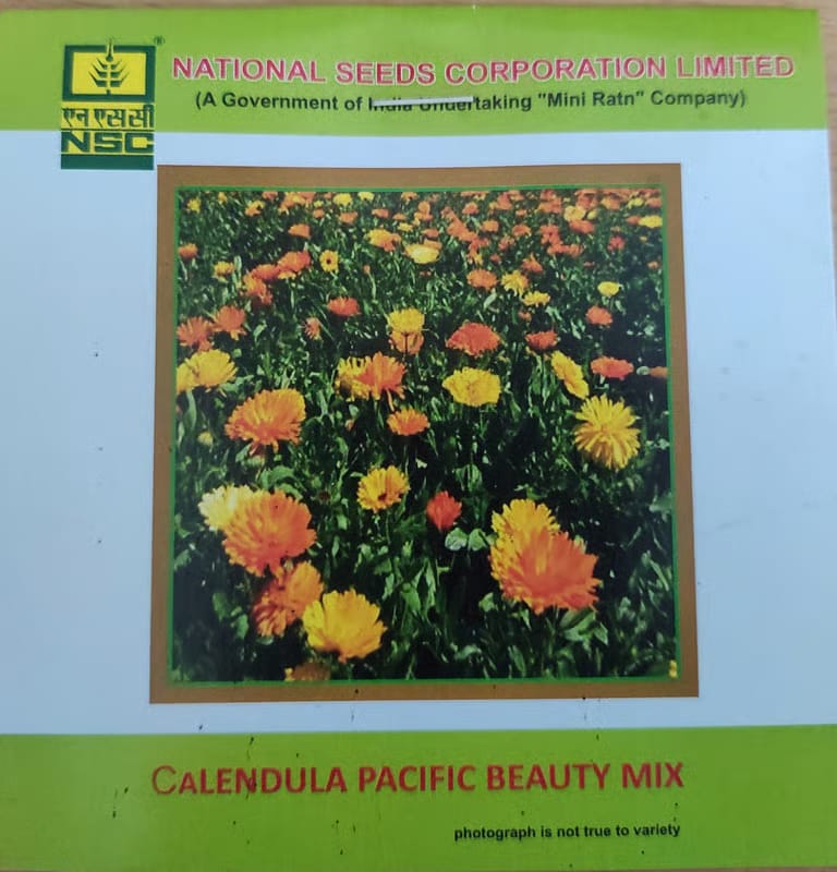 NSC Calendula Pacific Beauty Mix flower seed 
