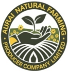 Aurai Natural Farming Producer Company Limited
