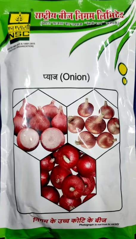 NSC ONION SEEDS - AFLR TL - 250GMS 