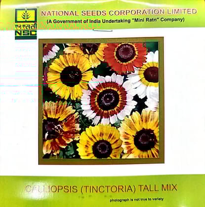NSC Calliopsis(Tinctoria) Tall Mix Flower Seed 