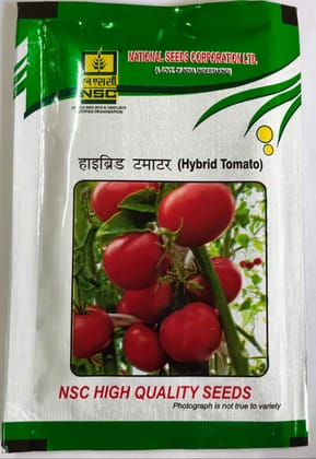 NSC HYBRID TOMATO - ARKA SAMRAT; 10gms
