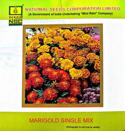 Marigold Single Mix-3 gms