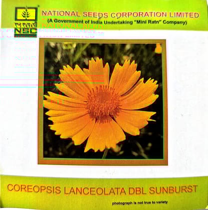 Coreopsis lanceolata DBL Sunburst-3gms
