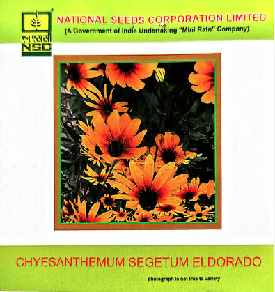 Chrysanthemum Segetum Eldorado