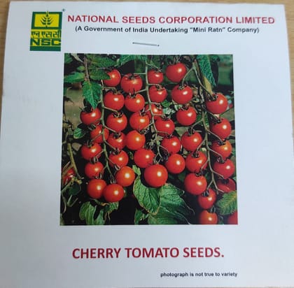 NSC Cherry Tomato Seed