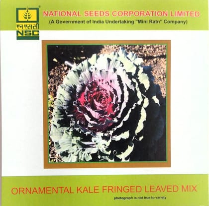 NSC Ornamental Kale Fringed Leaved Mix Flower Seed