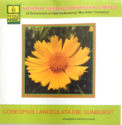 NSC Coreopsis Lanceolata DBL Sunburst Flower Seed 