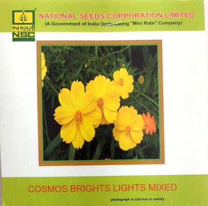 NSC Cosmos Brights Lights Mixed Flower Seeds