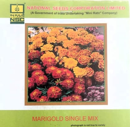 NSC Marigold Single Mix Flower Seed