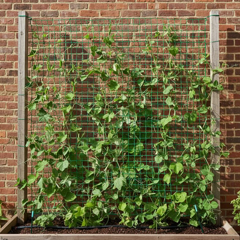 Planting Net Plant Climbing net & Creeper Net & Plant Trellis Net Plant Support Net ...