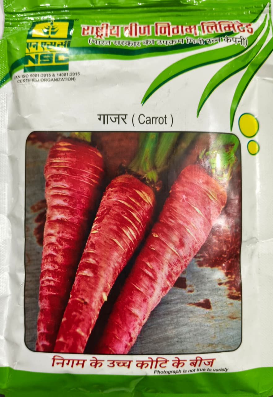 Carrot Pusa Rudhira