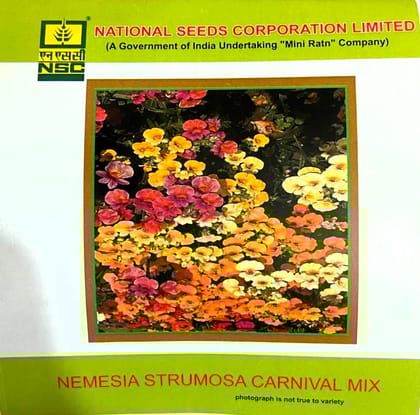 NSC Nemesia Strumosa Carnival Mix Flower Seeds