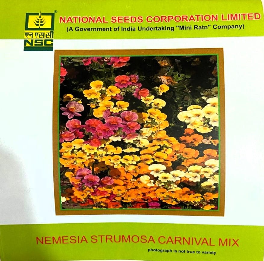 NSC Nemesia Strumosa Carnival Mix Flower Seeds