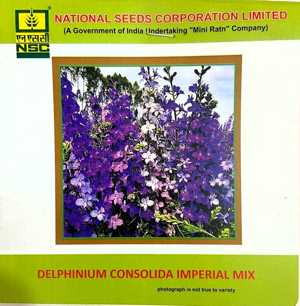 NSC Delphinium Consolida Imperial Mix Flower Seed