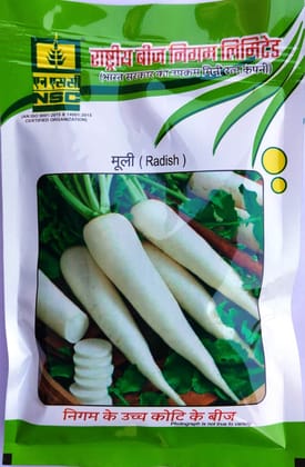 NSC CROP RADISH KASHI MOOLI-40