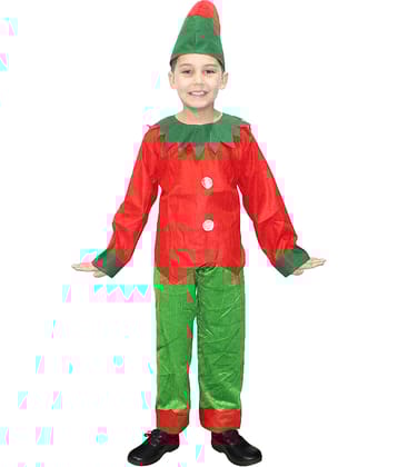 Kaku Fancy Dresses Fairy Tales Elfs Costume -Red & Green, 3-4 Years, For Boys