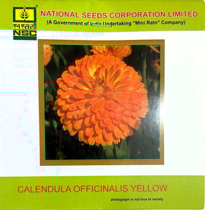 NSC Calendula Officinalis Orange Gitana Flower Seed