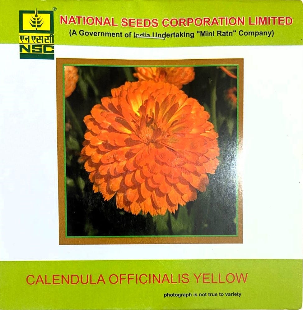 NSC Calendula Officinalis Orange Gitana Flower Seed