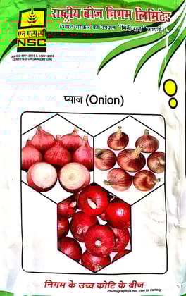 NSC-ONION/AFDR-1KG SEEDS