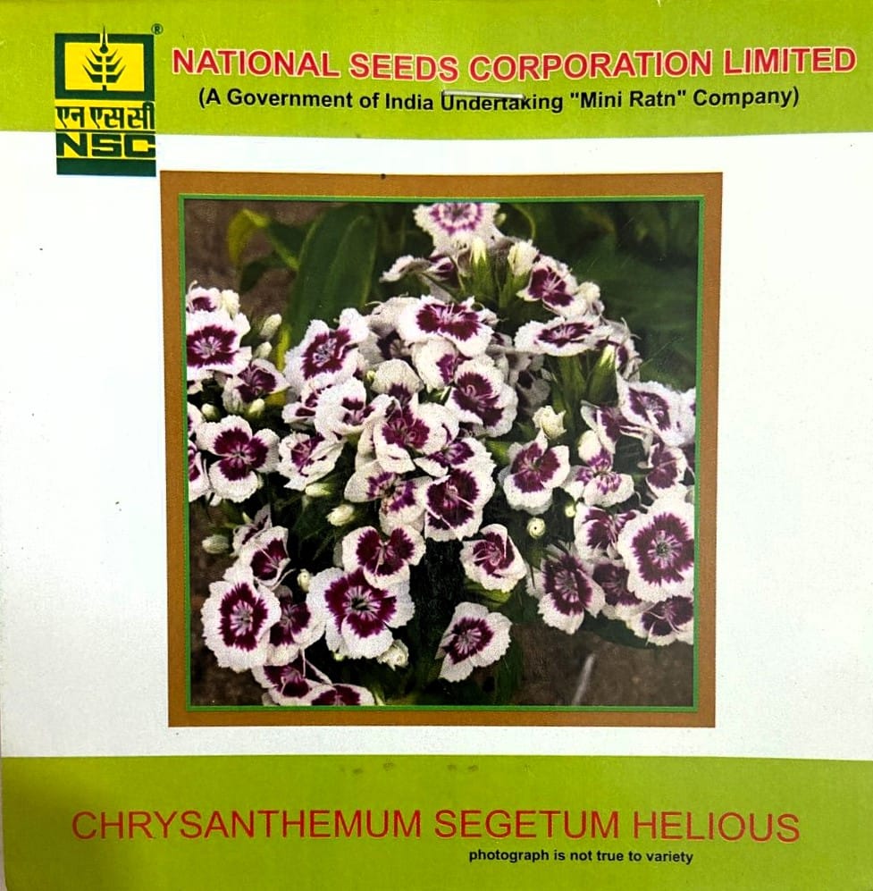 NSC Chrysanthemum Segetum Helious Flower Seeds 
