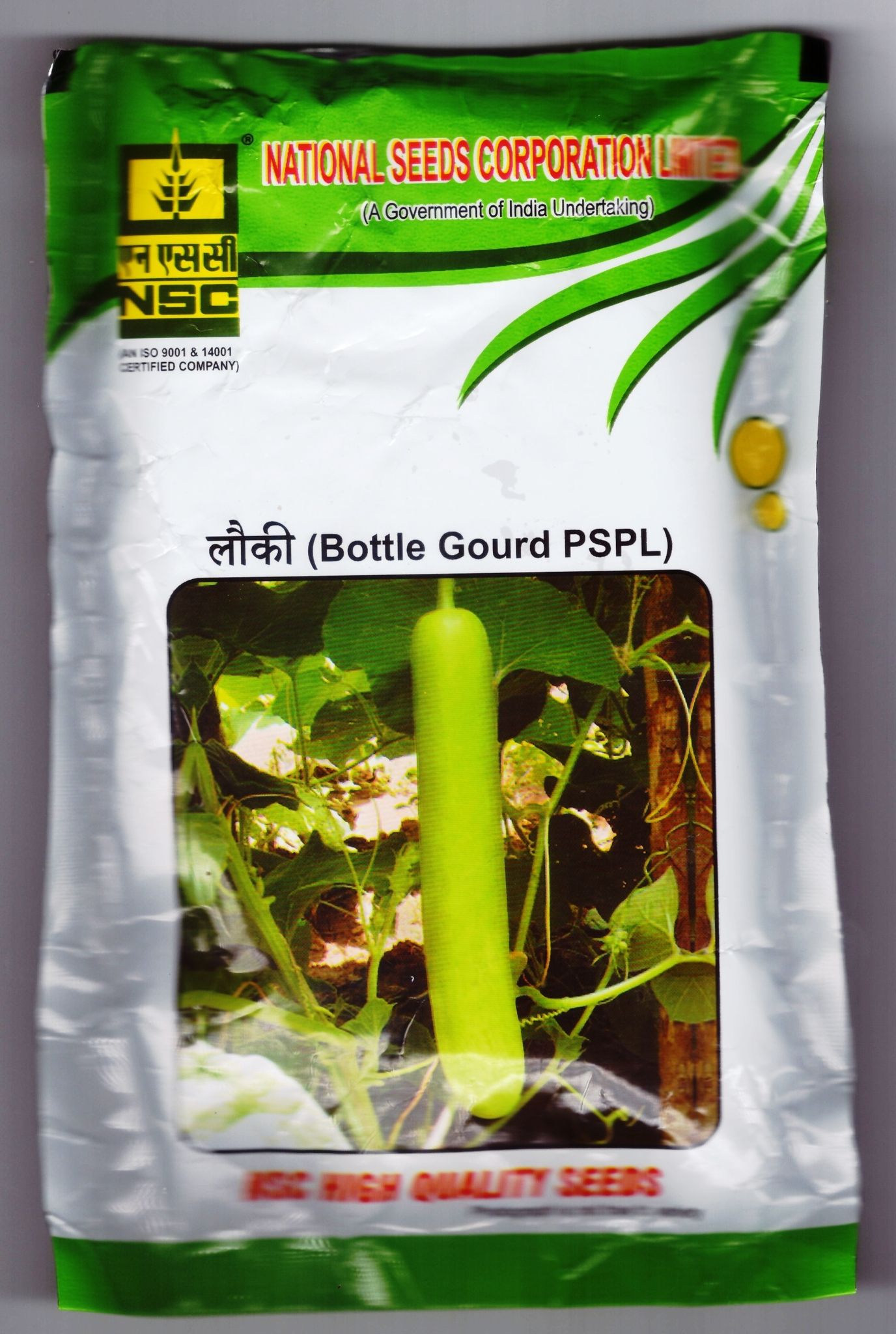 NSC_ Bottle Gourd _ variety PSPL _ 100 gm