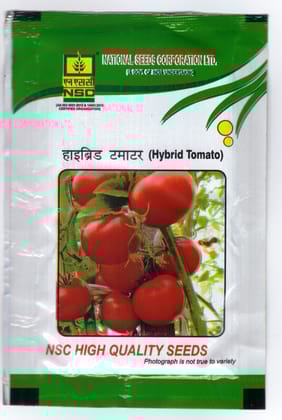 NSC Hybrid Tomato Variety Arka Samrat 10gm NSC Hybrid Tomato Variety Arka Samrat 10gm