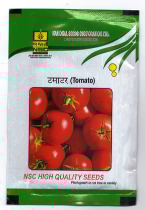 NSC_Hybrid Tomato_Variety Kashi Abhiman _10gm NSC_Hybrid Tomato_Variety Kashi Abhiman _10gm