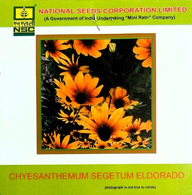 NSC Chyesanthemum Segetum Eldorado Flower Seed