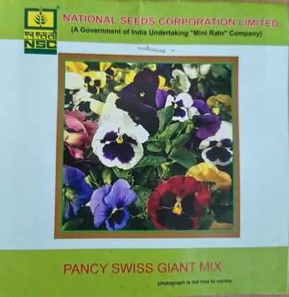 NSC Pancy Swiss Giant Mix Flower Seed 