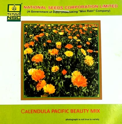 NSC Calendula Pacific Beauty Mix Flower Seed