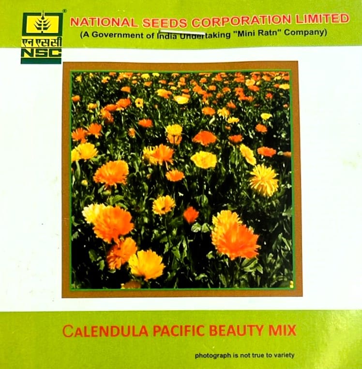 NSC Calendula Pacific Beauty Mix Flower Seed