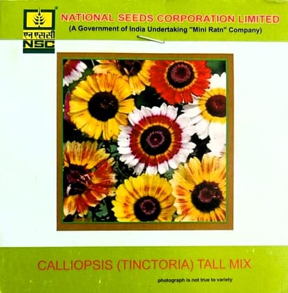 NSC Calliopsis ( Tinctoria) Tall Mix Flower Seed 