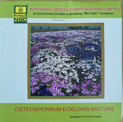 NSC Osteospermum Ecklonis Mix Flower Seed 