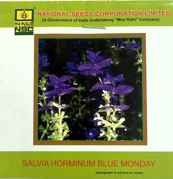  NSC Salvia Horminum Blue Monday Flower Seed