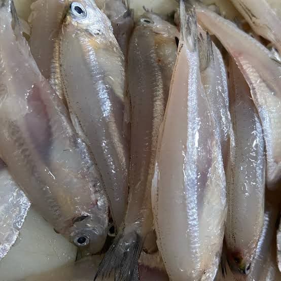 Silver – (Bolenjir) 1 Kg