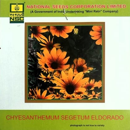 NSC Chyesanthemum Segetum Eldorado Flower Seed