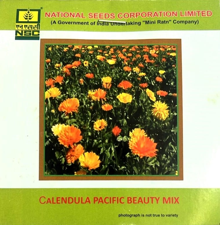 NSC Calendula Pacific Beauty Mix Flower Seed